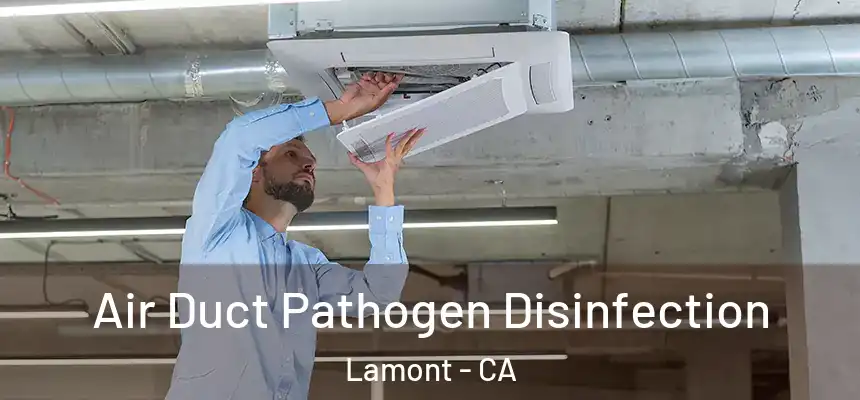  Air Duct Pathogen Disinfection Lamont - CA