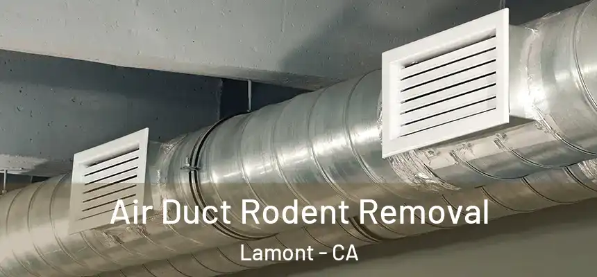  Air Duct Rodent Removal Lamont - CA