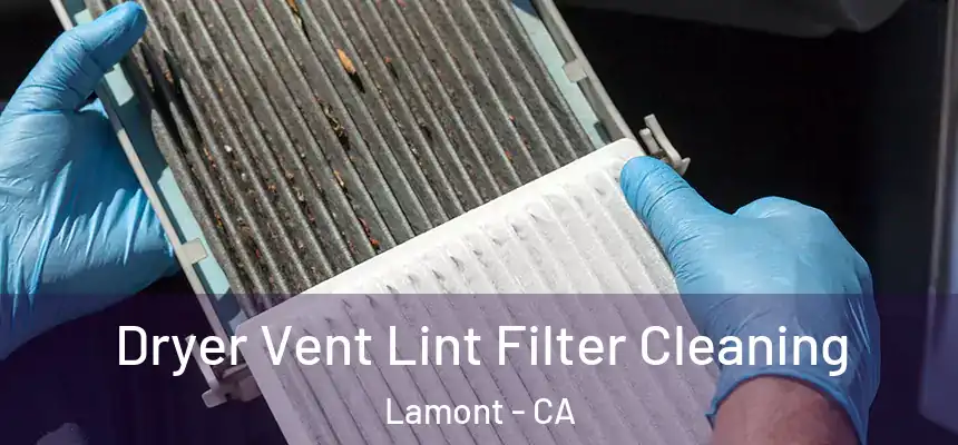  Dryer Vent Lint Filter Cleaning Lamont - CA