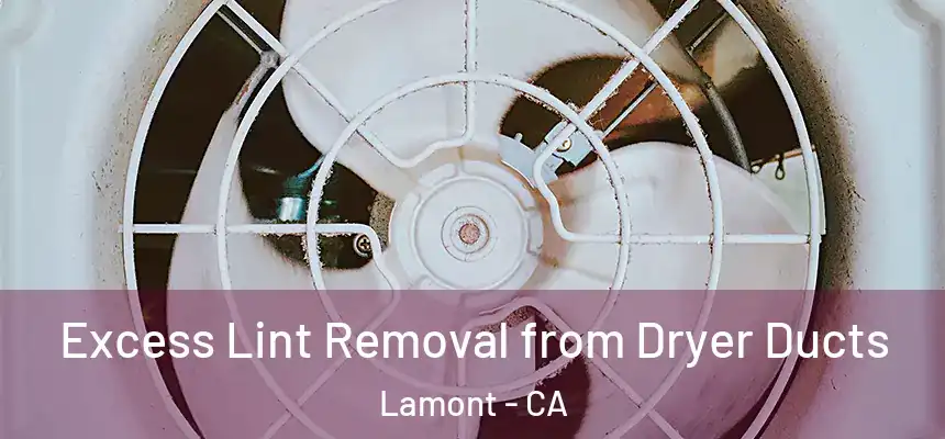  Excess Lint Removal from Dryer Ducts Lamont - CA