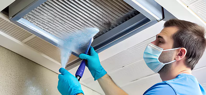 Proactive Dryer Vent & Auxiliary Duct Pollen Cleanup in Lamont, CA