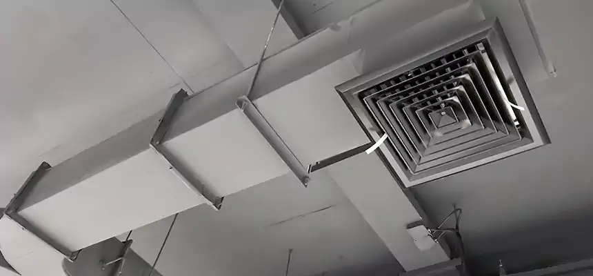 Restorative Allergy Relief Vent Cleaning – Coil, Blower & Housing Detail in Lamont