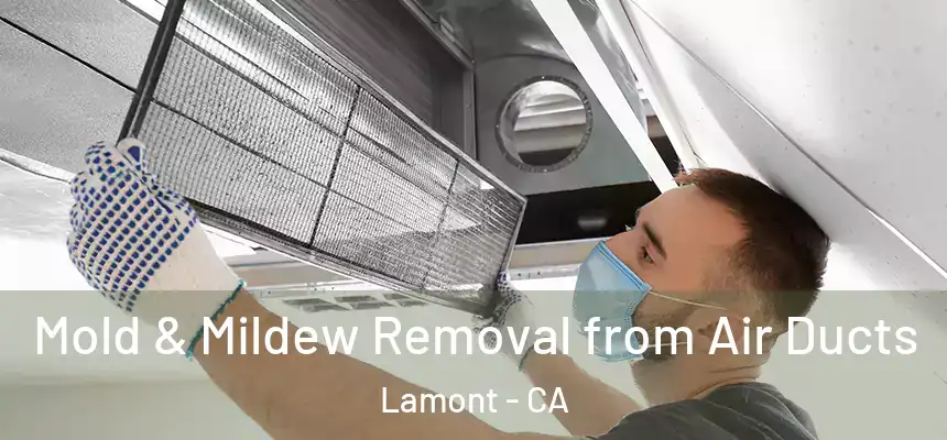  Mold & Mildew Removal from Air Ducts Lamont - CA