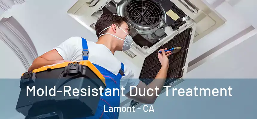  Mold-Resistant Duct Treatment Lamont - CA