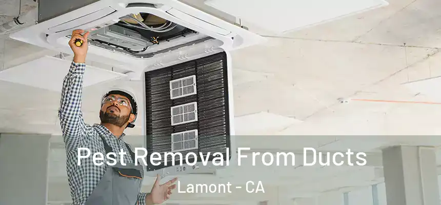  Pest Removal From Ducts Lamont - CA