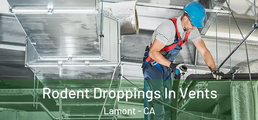  Rodent Droppings In Vents Lamont - CA