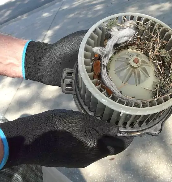 About Air Duct Rat Removal in Lamont, CA