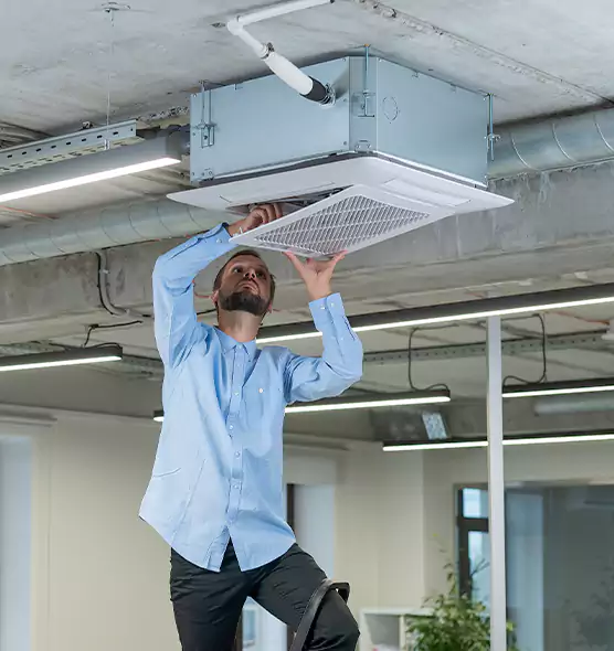 Advanced Rodent Droppings In Vents in Lamont, CA