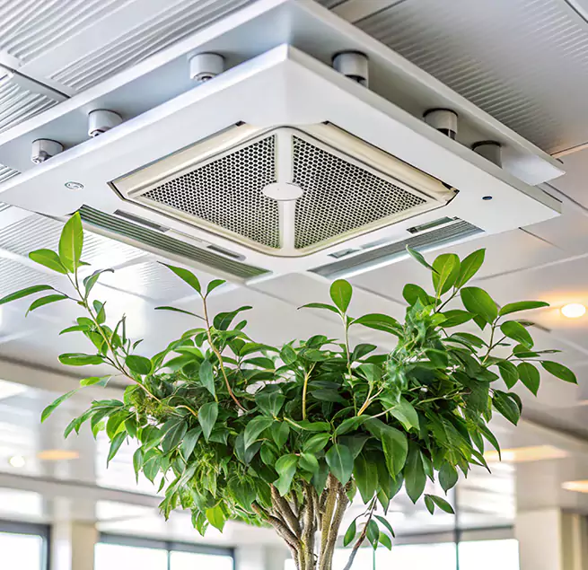 Why Homeowners & Businesses Trust Us in Lamont, CA