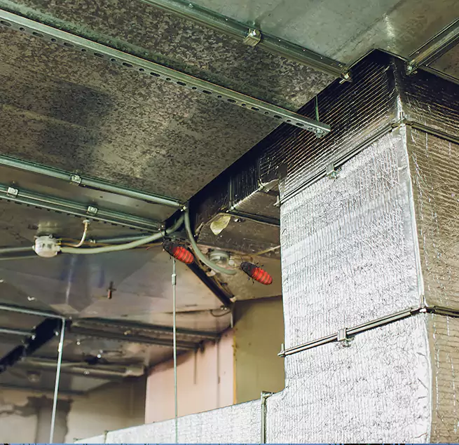 Why Homeowners & Businesses Trust Us Lamont, CA?