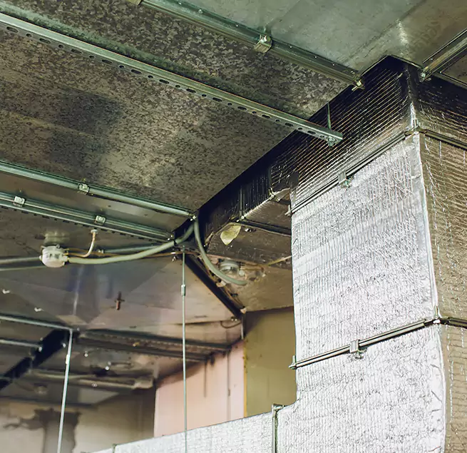 Why Homeowners & Businesses Trust Us in Lamont, CA?